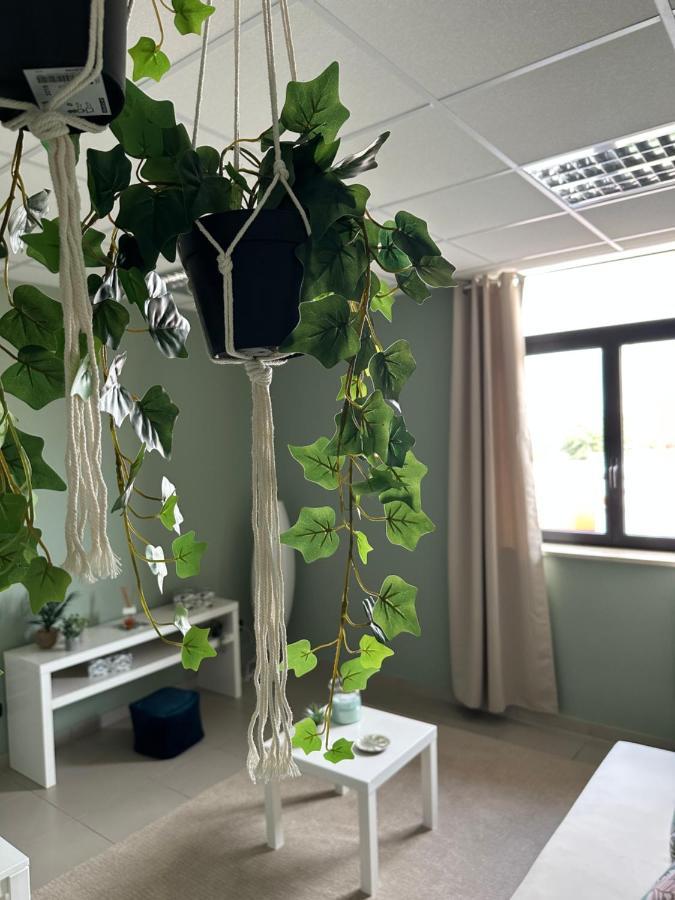 Botanical Suite บารี ภายนอก รูปภาพ